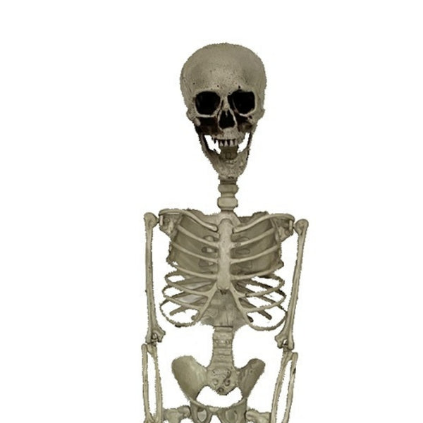 Haunted Haven Anatomically Accurate Skeleton Standing Stake 70cm