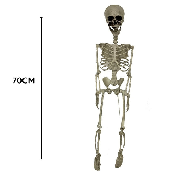 Haunted Haven Anatomically Accurate Skeleton Standing Stake 70cm