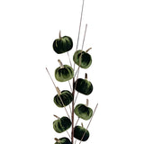 autumn collection velvet pumpkins spray  green h66cm