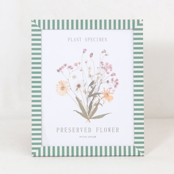 Green Stripe Preserved Flower Specimen Wall Frame | 8 x 10 inch