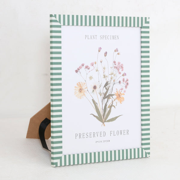 Green Stripe Preserved Flower Specimen Wall Frame | 8 x 10 inch