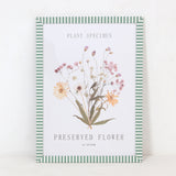 Green Stripe Preserved Flower Wall Art Frame | A3, Plant Specimen