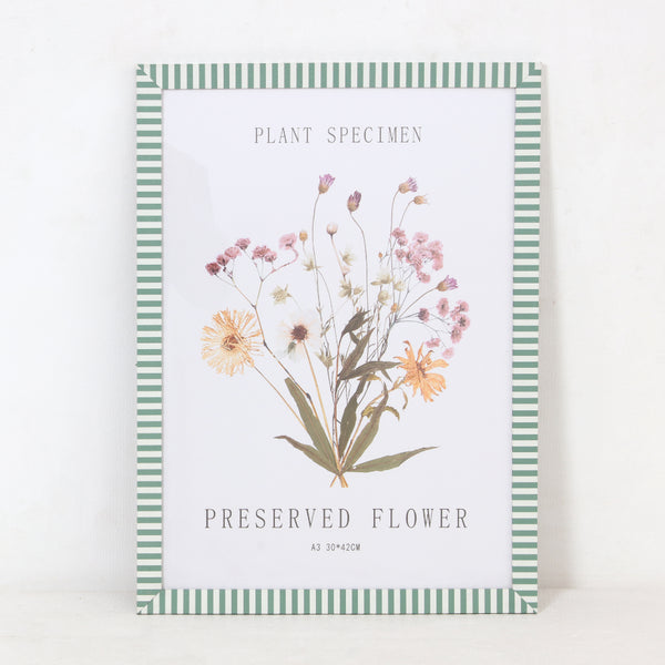 Green Stripe Preserved Flower Wall Art Frame | A3, Plant Specimen