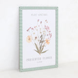 Green Stripe Preserved Flower Wall Art Frame | A3, Plant Specimen