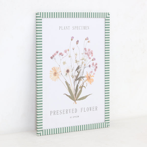 Green Stripe Preserved Flower Wall Art Frame | A3, Plant Specimen