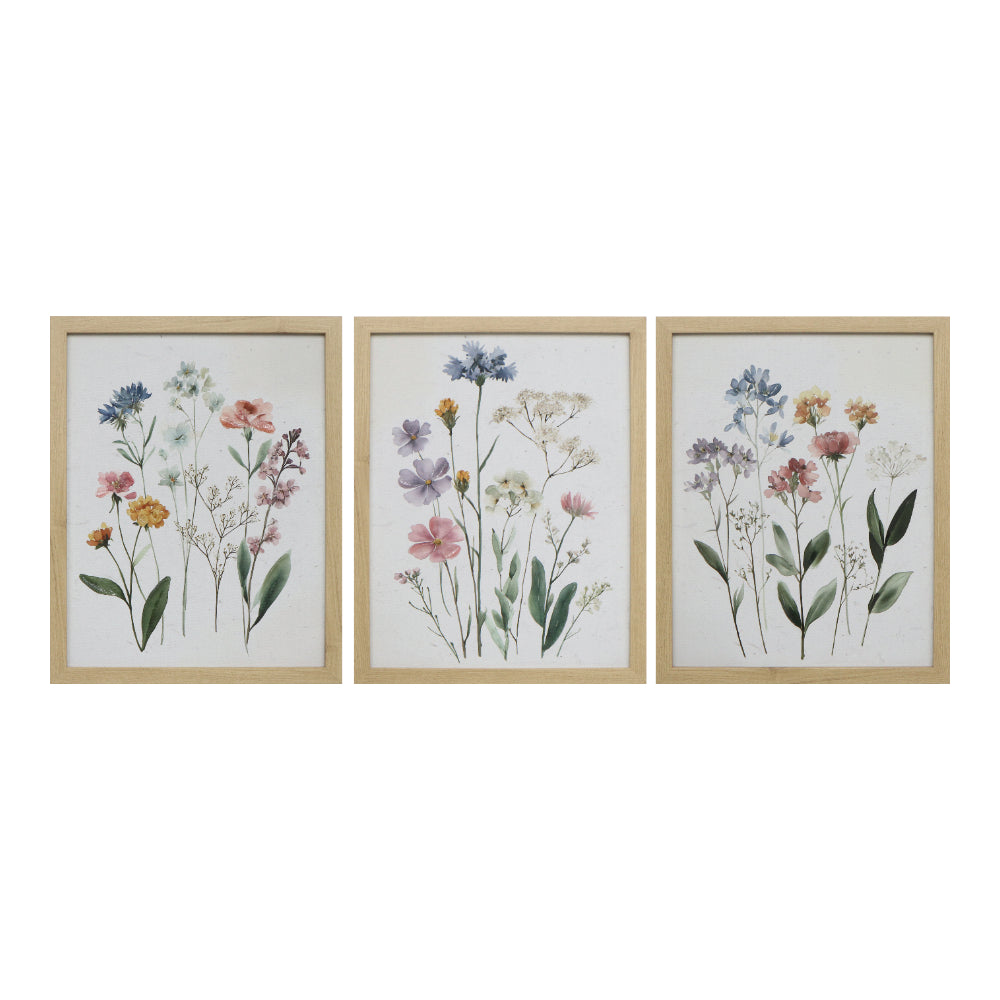 Assorted Wildflower Framed Botanical Wall Art | 3 Designs, 28 x 35cm