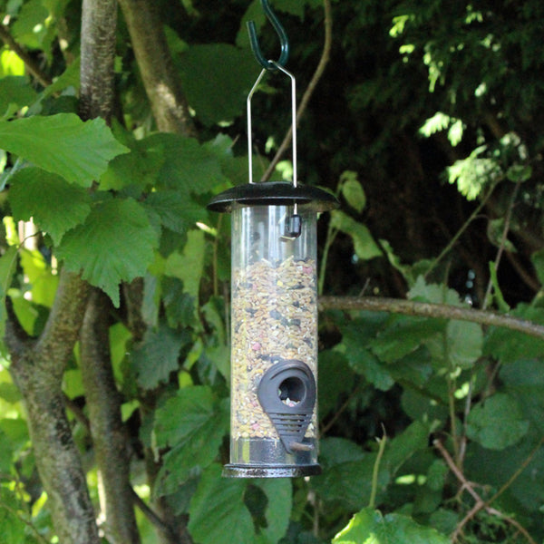 Nature's Market Hammertone Finish Wild Bird Seed Feeder | Hanging Loop