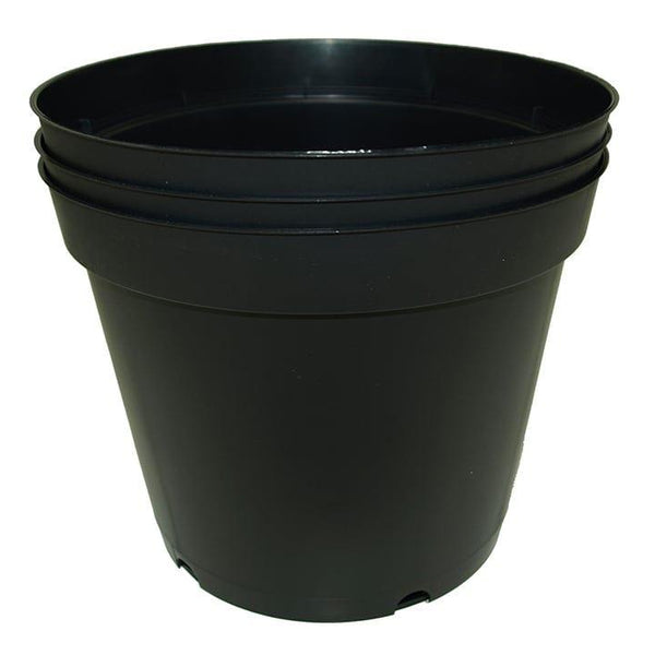 Tomato Pot 23cm | Pack of 3