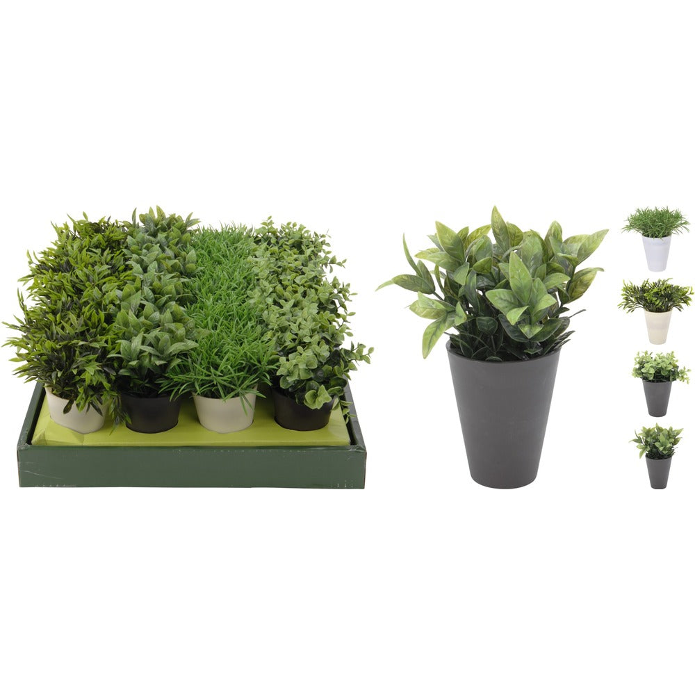 Faux Plant in Pot Assorted Designs | 16cm Height, 18cm Width