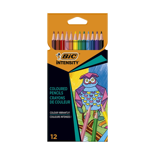 BIC Color Up Triangular Colouring Pencils | Assorted Colours | Pack of 12
