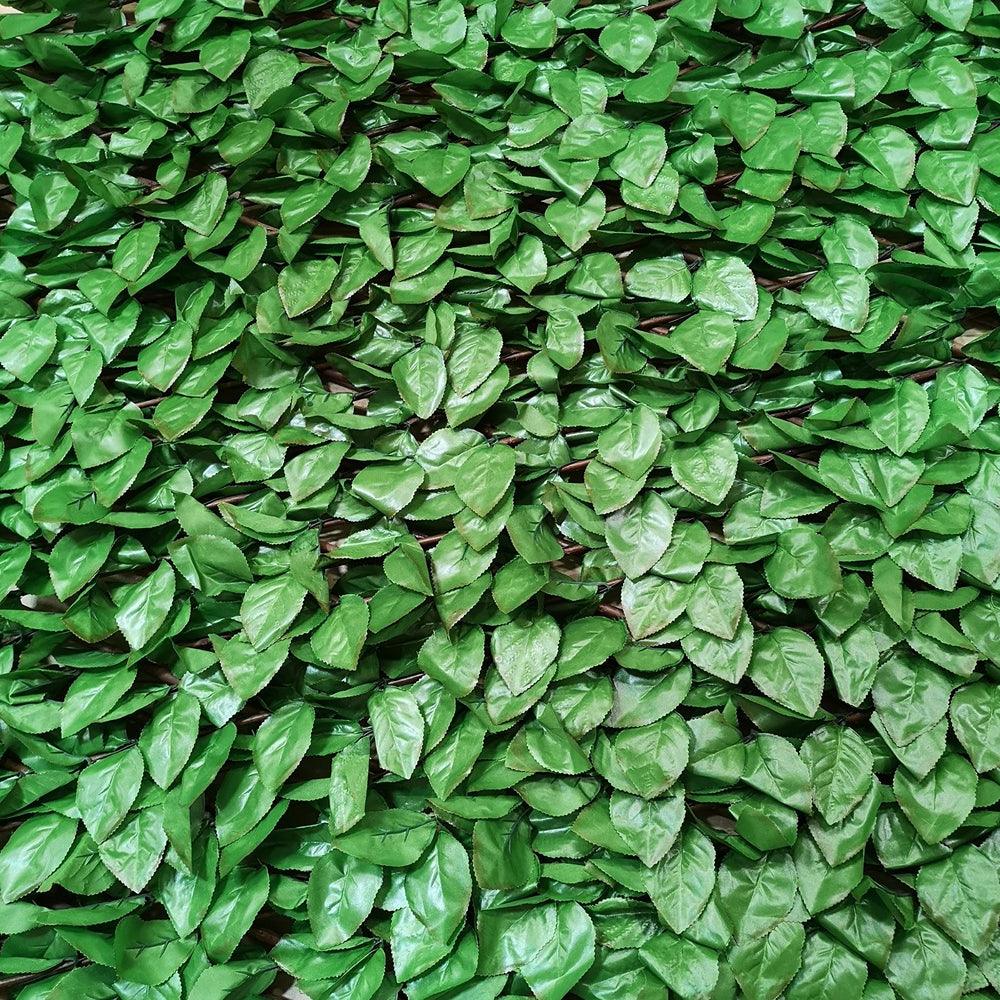 Wonderwal Beech Leaf Trellis | 100 x 200cm