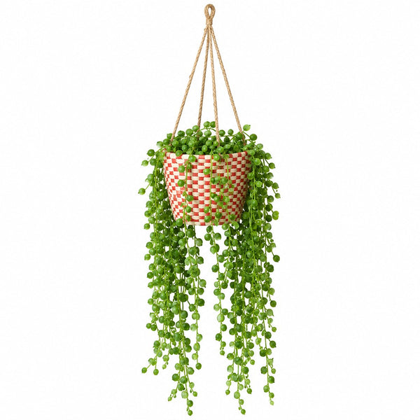Trailing Plant - Faux Plant - Red Pot