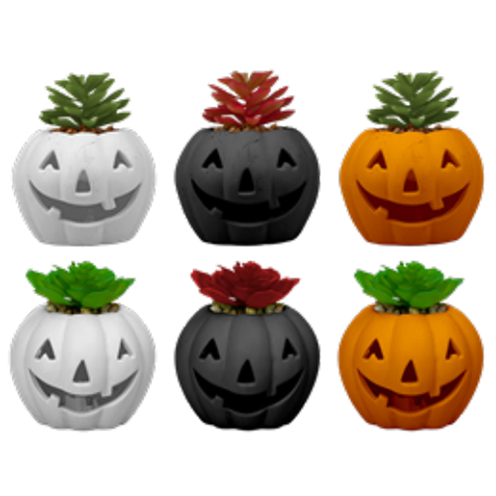 Halloween LED Light up Pumpkin with Succulent | Assorted Colours | 10cm