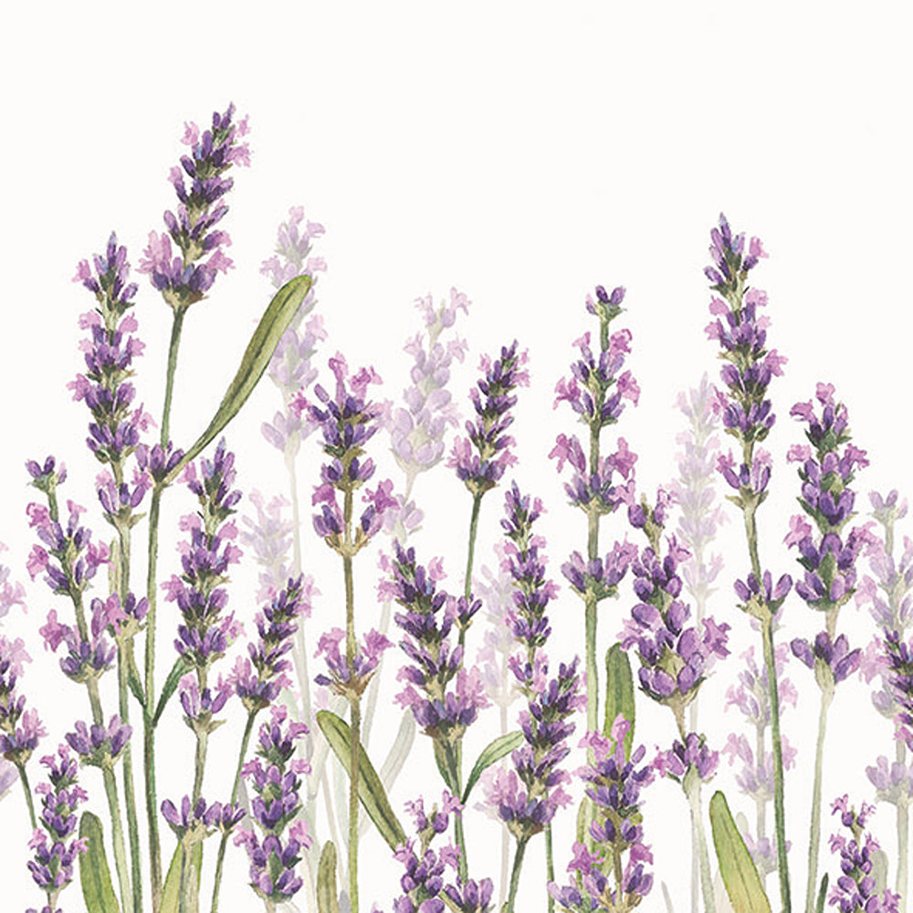 Ambiente Lavender Shades Watercolour Paper Napkins | White, Pack of 20