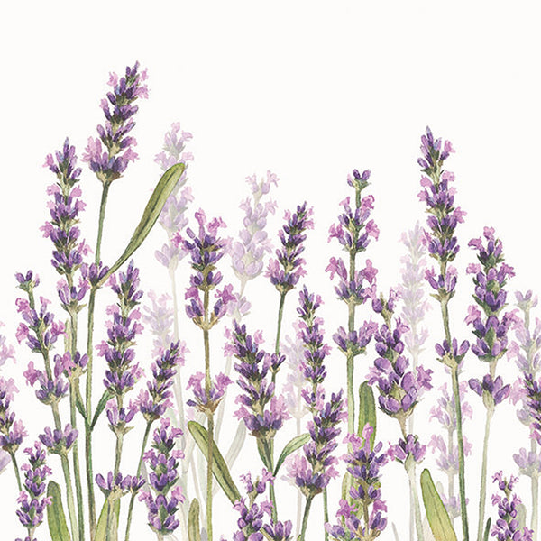 Ambiente Lavender Shades Watercolour Paper Napkins | White, Pack of 20