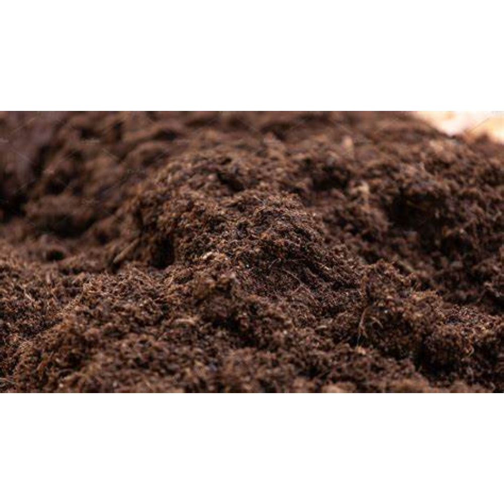Westland Bulb Planting & Potting Peat Free Mix | 10 Litres, Zinc Enriched