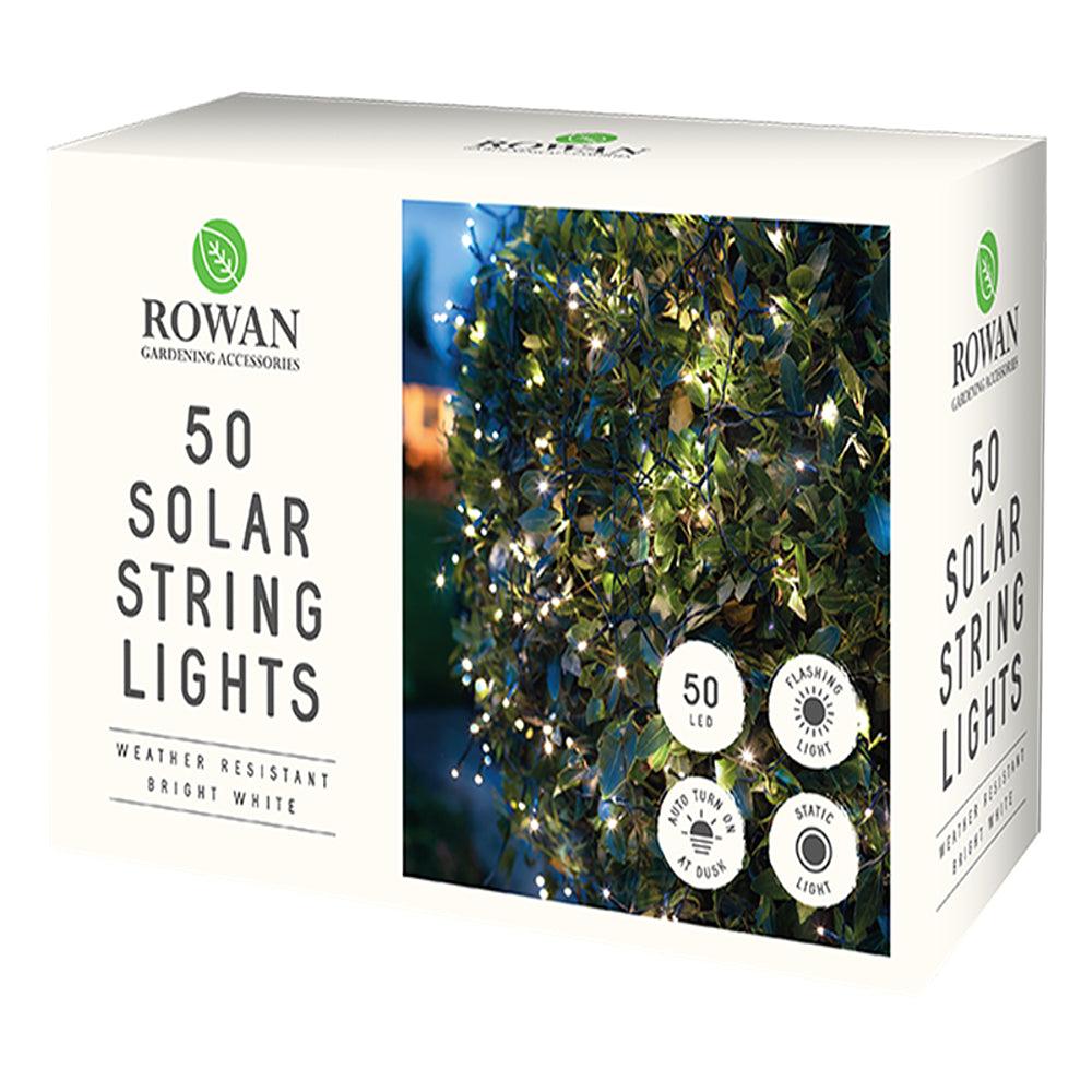 Rowan 50 Bright White LED Solar String Lights - Choice Stores