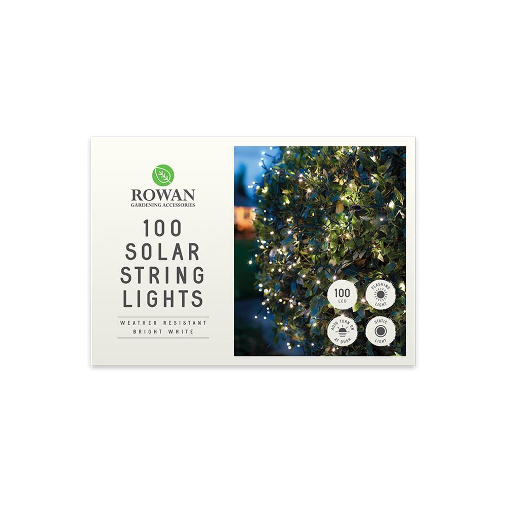 Rowan 100 LED Bright White LED Solar String Lights
