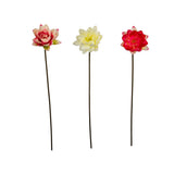 Lotus Stem (52cm) | 3 Assorted Colours