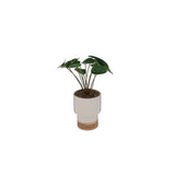 Atmosphera Faux Plant in Ceramic Pot | White, 26cm, Wood-Effect Base