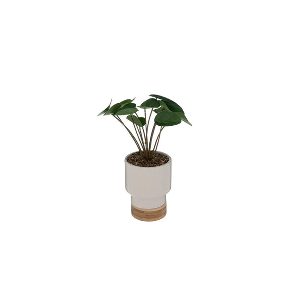 Atmosphera Faux Plant in Ceramic Pot | White, 26cm, Wood-Effect Base