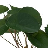 Atmosphera Faux Plant in Ceramic Pot | White, 26cm, Wood-Effect Base