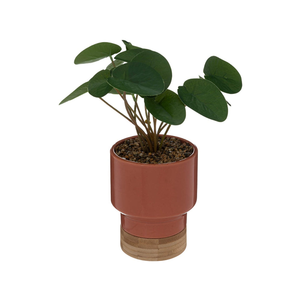 Atmosphera Peach Faux Plant in Two-Tone Ceramic Pot | 26cm Height
