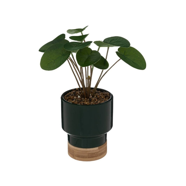 Atmosphera Green Faux Plant in Ceramic Pot | 26cm, Glossy Finish