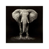 Atmosphera Monochrome Black Elephant Canvas Print | 100 x 100cm