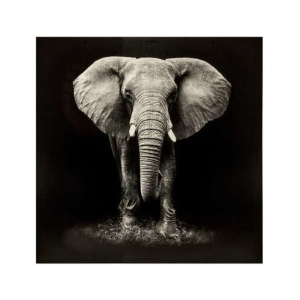Atmosphera Monochrome Black Elephant Canvas Print | 100 x 100cm