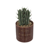 Atmosphera Ceramic Pot Plant Succulent | Brown, 19.5cm, Gold Lettering