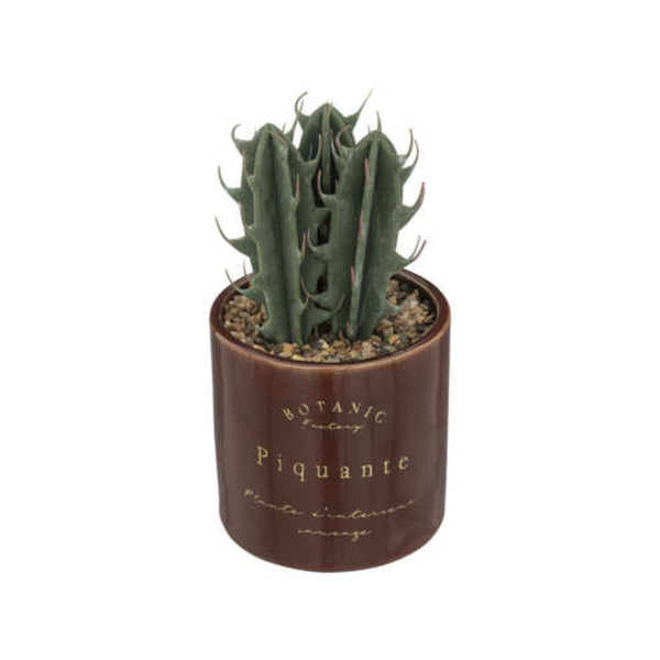 Atmosphera Ceramic Pot Plant Succulent | Brown, 19.5cm, Gold Lettering