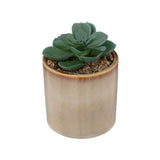 Atmosphera Beige Artificial Succulent in Glazed Ceramic Pot | 14cm