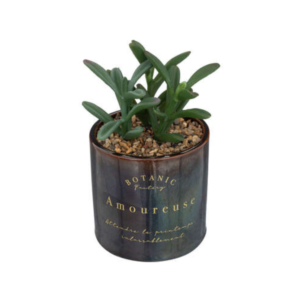 Atmosphera Black Ceramic Succulent Pot Plant | 17cm, Gold Script