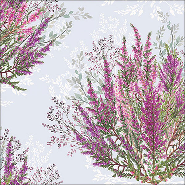 Ambiente Calluna Heather Floral Napkin | Purple and Pink Botanical
