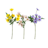 Clematis Stem 62cm | 3 Assorted Options