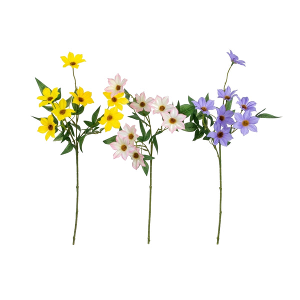 Clematis Stem 62cm | 3 Assorted Options