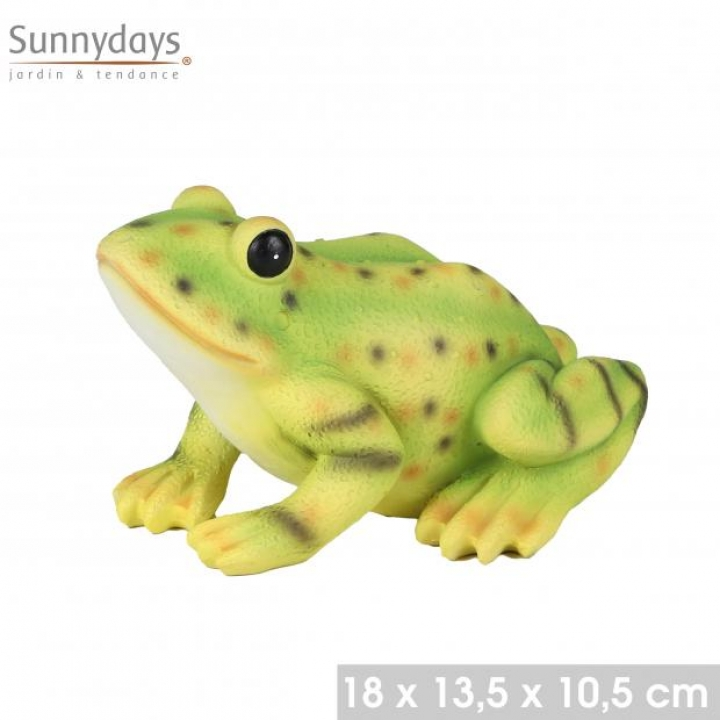 Sunnydays Decorative Frog - Polyresin - 18 x 13.5 x 10.5 cm