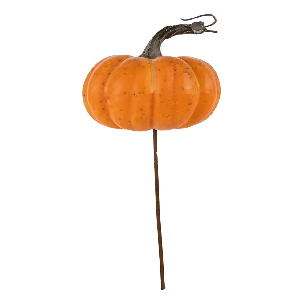Pumpkin Stem | Height 30cm