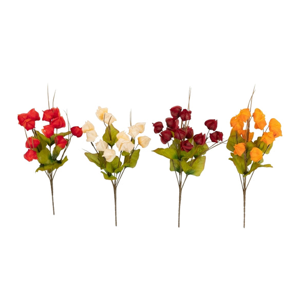 Chinese Lantern Bush 3pc | 3 Assorted Options