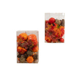 Crafty Autumn Box | Assorted Designs