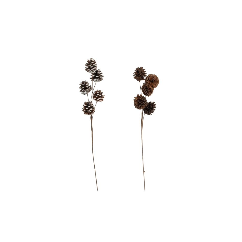 Natural Cone Stem | 50cm