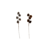 Natural Cone Stem | 50cm