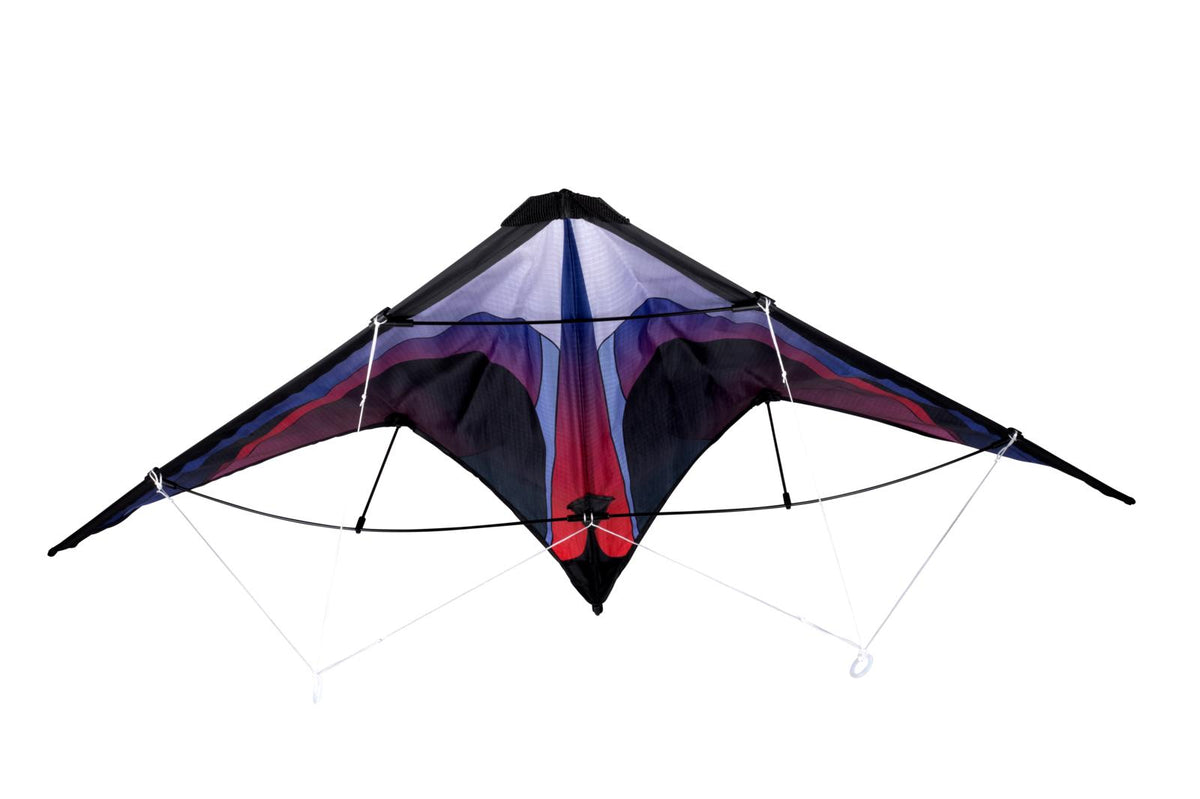 Eddy Toys Stunt Kite | 120x60cm Delta-Wing | Dual-Line Control