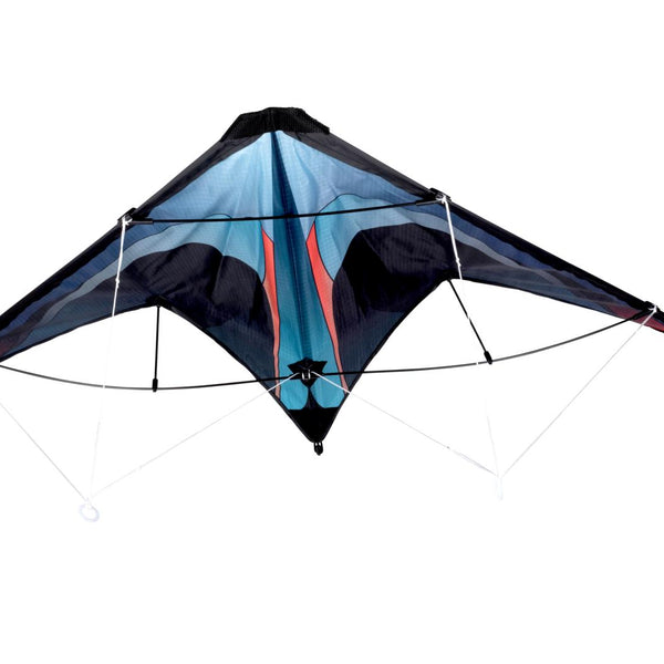 Eddy Toys Stunt Kite | 120x60cm Delta-Wing | Dual-Line Control