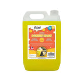 Flow Summer Screen Wash | 5L