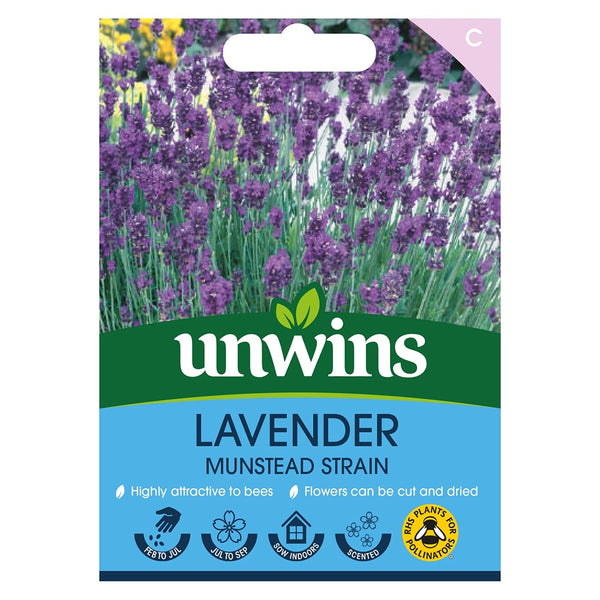 Lavender Munstead Strain Flower Seeds