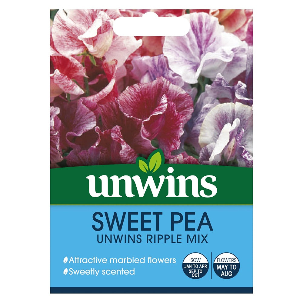 Sweet Pea Unwins Ripple Mix Flower Seeds