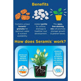 Westland Houseplant Potting Mix - Peat-Free - 4L