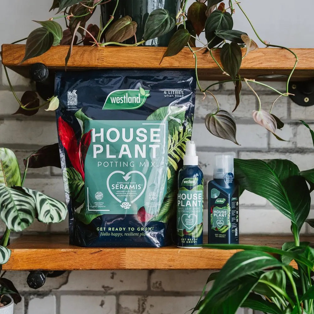 Westland Houseplant Potting Mix - Peat-Free - 4L